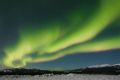 オーロラ/ホワイトホース　(＠Arctic Range Adventure)